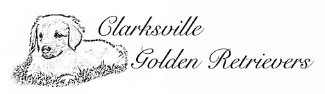 Clarksville Golden Retrievers